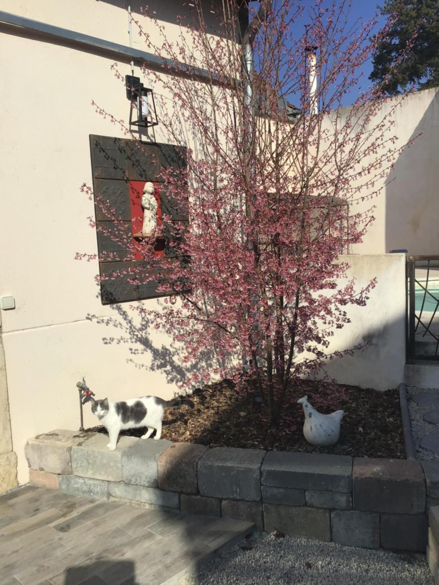 Ma Maison Beaune  Eksteriør billede